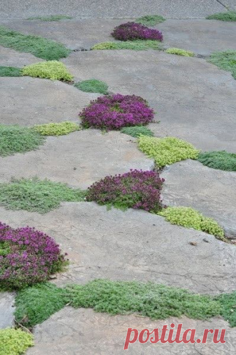 Found on indulgy.com