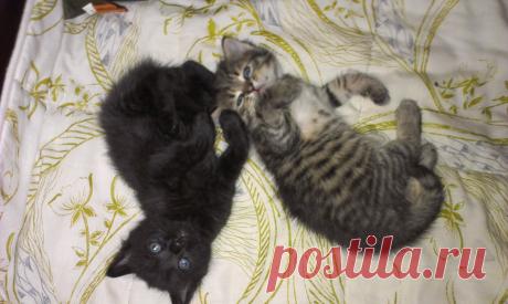 не мешайте!