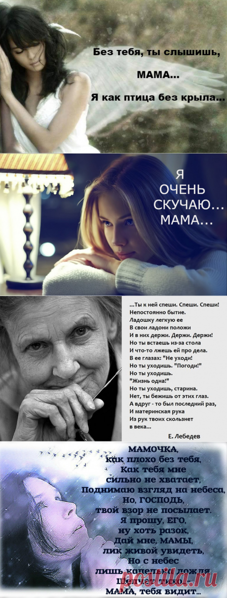 сообщение Логово_Белой_Волчицы : Светлой памяти моей мамы... (11:33 28-10-2016) [2734493/401522270] - Почта Mail.Ru