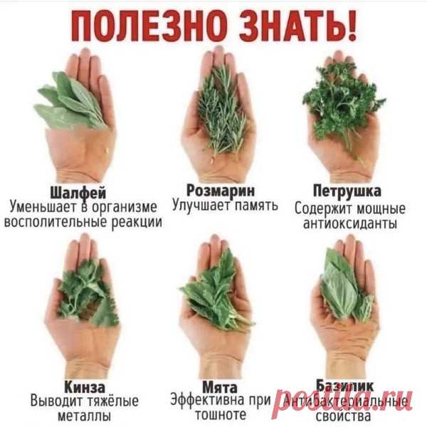 Обсуждения - Тепло людских сердец - Группы Мой Мир