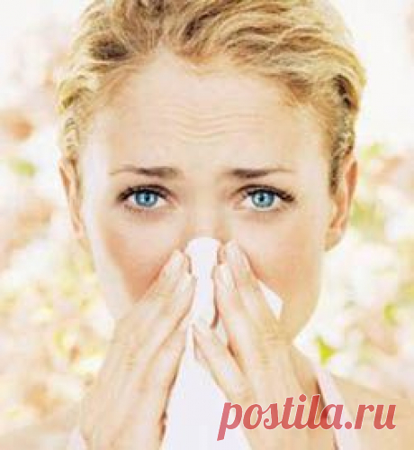 Перцовка, мед и соляной раствор – ни шанса гаймориту!