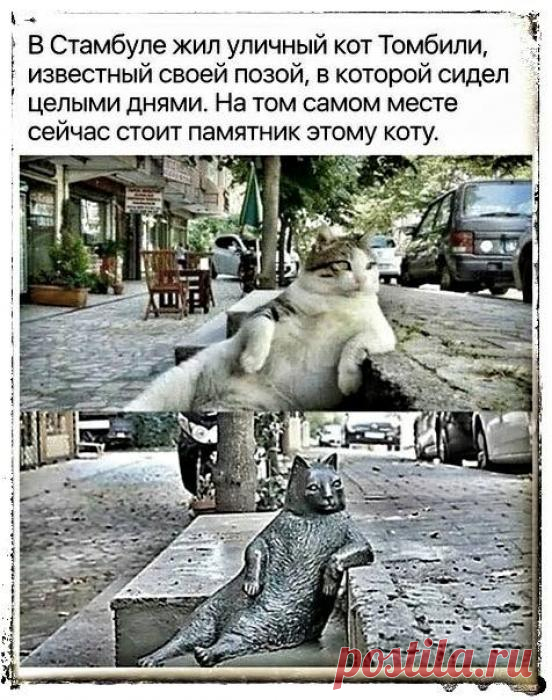 Невероятно, но факт...
