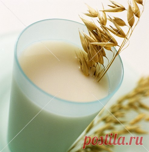 Целебный овсяный отвар для очищения и исцеления почек