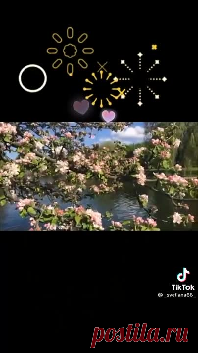 378d20d03f4503c1bb0505a6a40e92d3.mp4