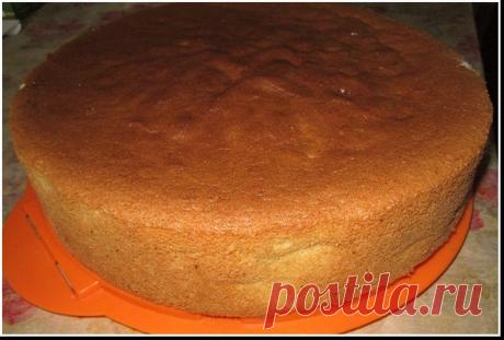 Высокий чудо-бисквит!.