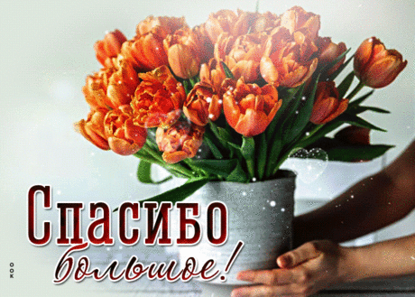 Удивительная гиф-открытка, спасибо большое