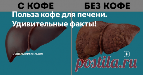 Стоят "буквально копейки", а пользы для печени больше,чем от чисток: 2 продукта, которые многие употребляют, но не знают об их пользе | Yoga Roggelin онлайн школа йоги | Дзен