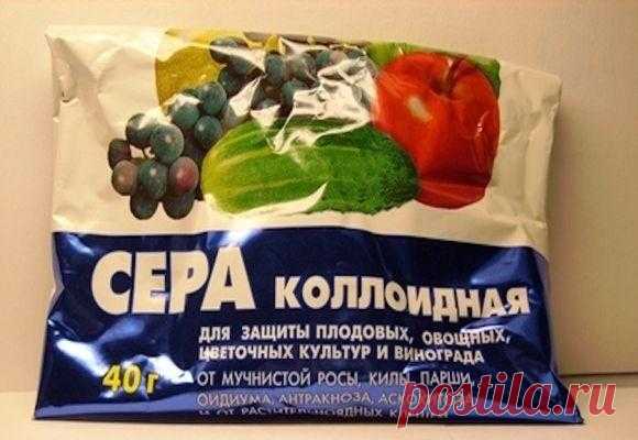 Коллоидная сера: инструкция по применению, состав, действие препарата, видео