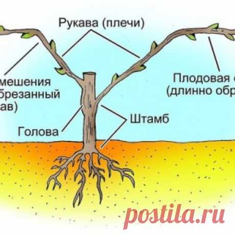 Что только не придумают дачники, чтобы украсить сад - МирТесен
