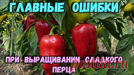 (1) Одноклассники