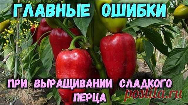 (1) Одноклассники