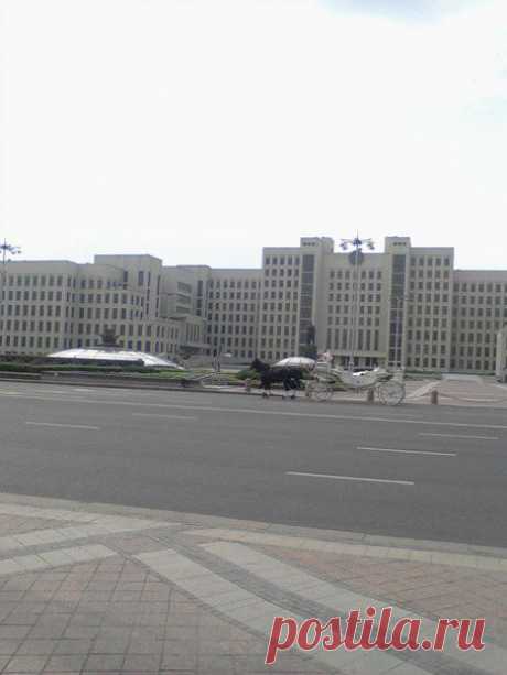 Людмила Поляковалепешко