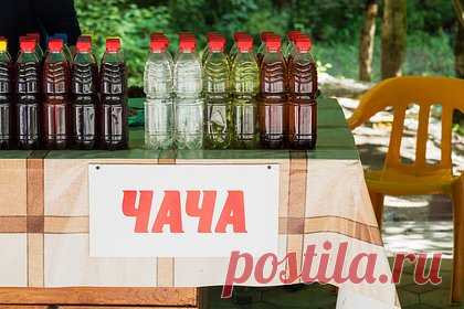 Нашлись продавцы смертельной чачи на российском курорте