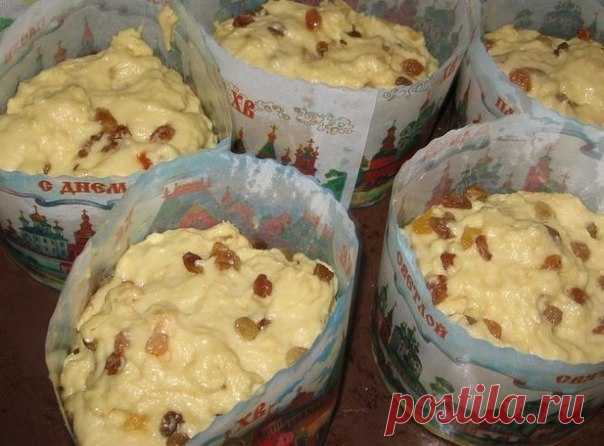 Александрийское тесто (для куличей)

Совершенно потрясающие куличи! Сладкие, нежные, мягкие... Вкуснее я не ела в жизни!
Рецепт бабушкин, готовит она по этому рецепту уже несколько десятков лет.

Показать полностью…