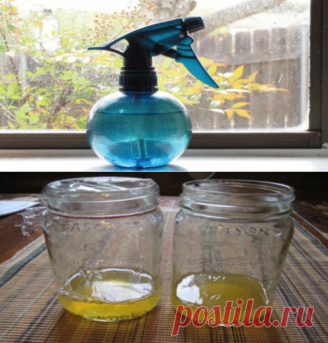 Как просто и дешево защитить свой дом от мух и комаров