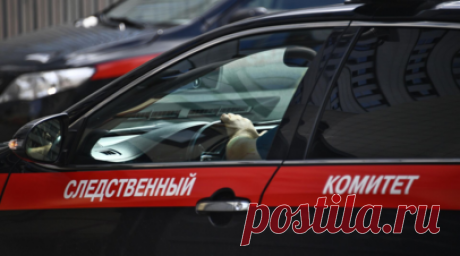 Бастрыкину доложат о проверке по факту травли школьницы из ЯНАО. Главе СК России Александру Бастрыкину доложат о проверке по факту травли школьницы из Ямало-Ненецкого автономного округа. Читать далее