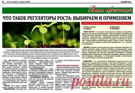 Что такое регуляторы роста растений: выбираем и применяем