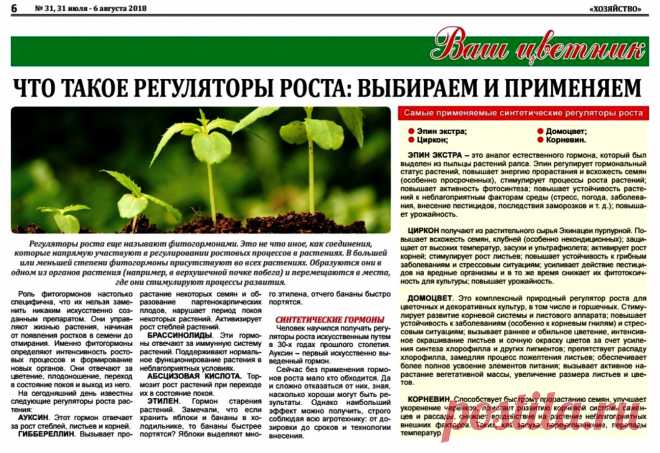 Что такое регуляторы роста растений: выбираем и применяем