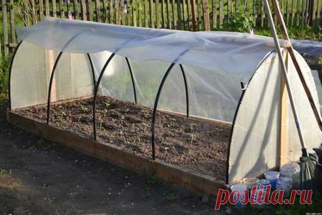 Самодельные парники