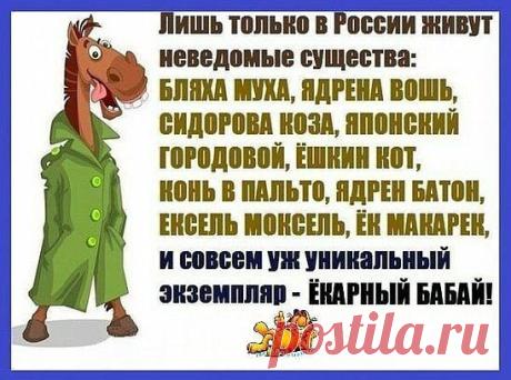 Мой Мир@Mail.Ru