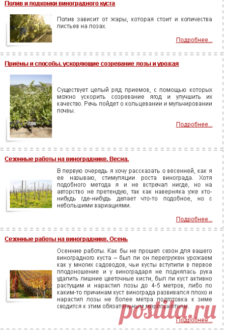 Город 495 - Записная Книжка Москвича