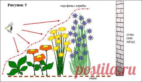 Клумбы из многолетних цветов. | Самоцветик