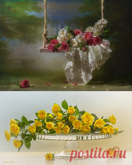 Без заголовка