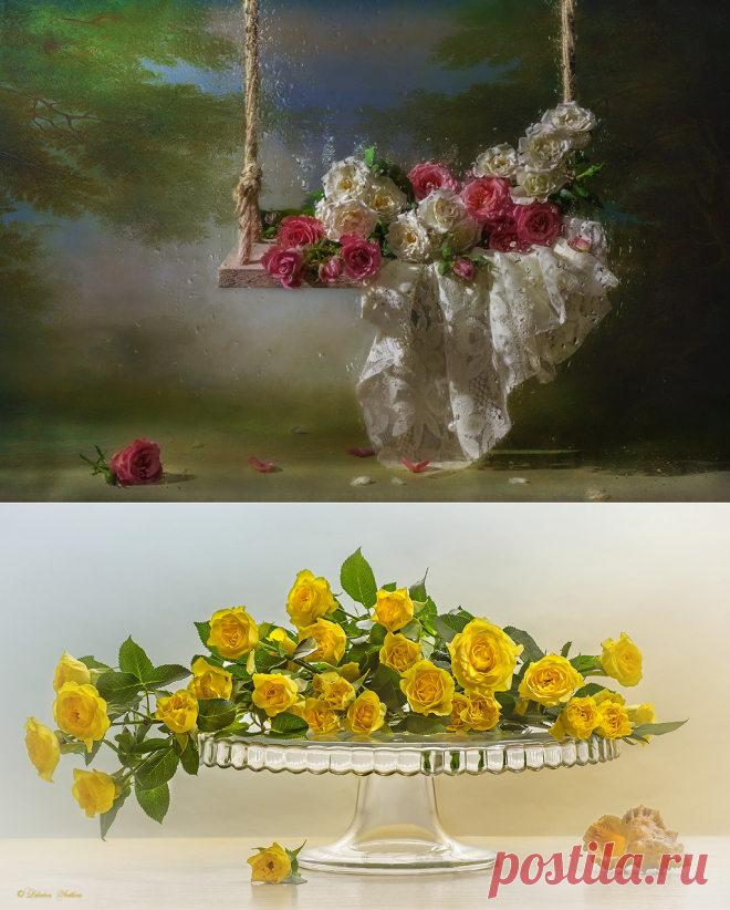 Без заголовка