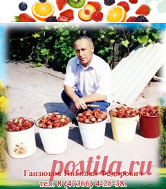 (7) Одноклассники