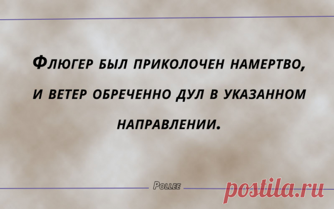 20 метких афоризмов, которые редко услышишь | Pollee - сливки Интернета