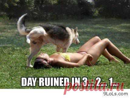 (10) Загруженное с телефона