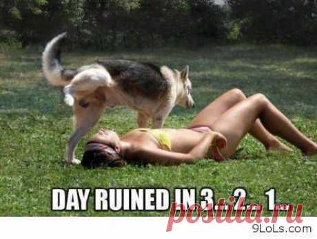 (10) Загруженное с телефона