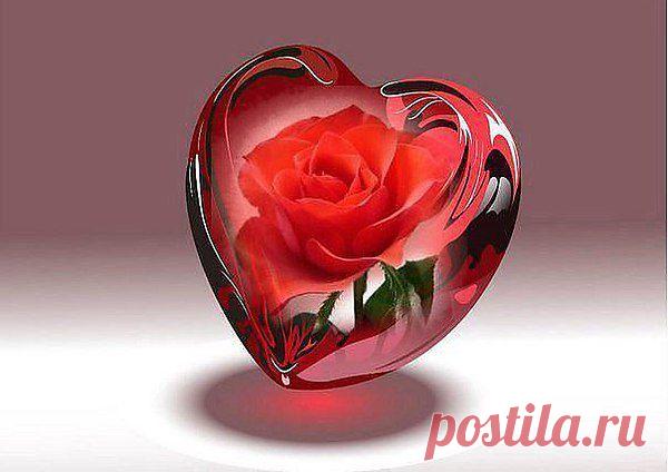 Интересные новости