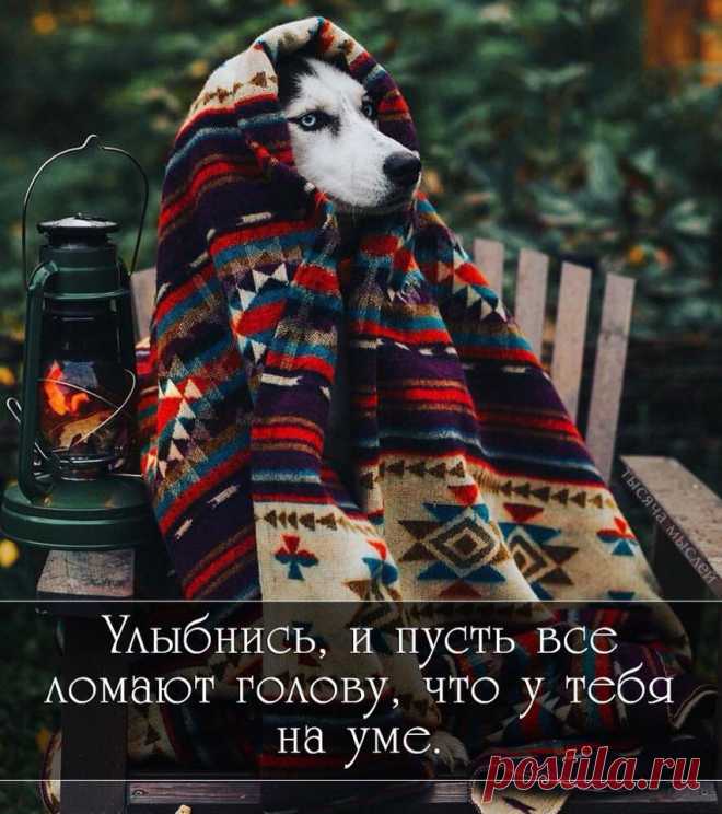СИЛА ДАЁТСЯ НА ДЕЛО
