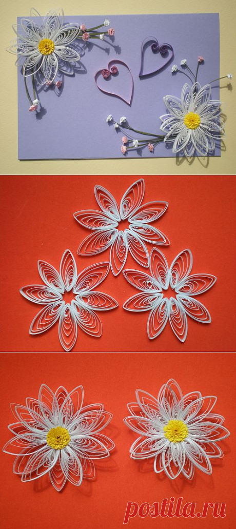 Открытка Quilled Greetings Cards / Квиллинг / В рукоделии