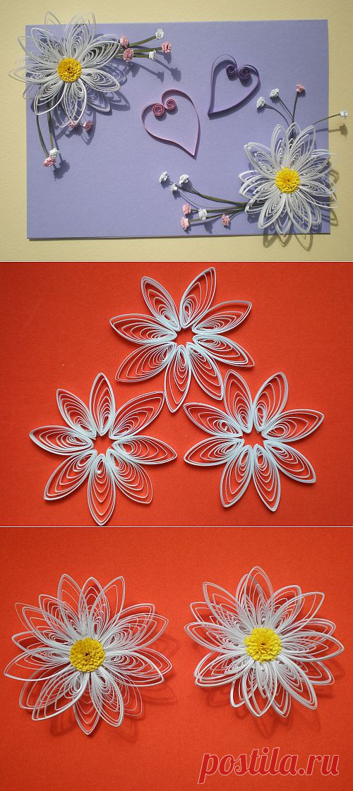 Открытка Quilled Greetings Cards / Квиллинг / В рукоделии