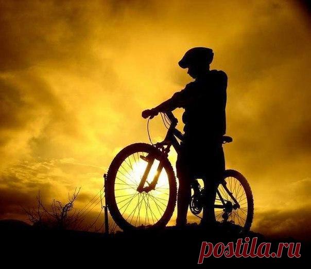 Помни, что жизнь -  как езда на велосипеде: если тебе тяжело -  значит ты идёшь на подъём! / Сферический бизнес