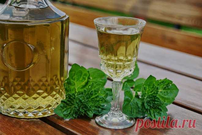 Мятный, свежий, настоящий: рецепт ликёра | Русская Дымка | Яндекс Дзен