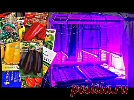 КОГДА САЖАТЬ СЕМЕНА НА РАССАДУ  Предпосевная подготовка