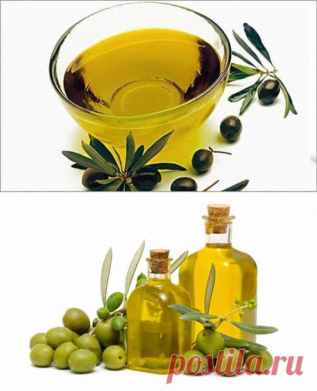 Оливковое масло – жидкое золото для женской красоты.