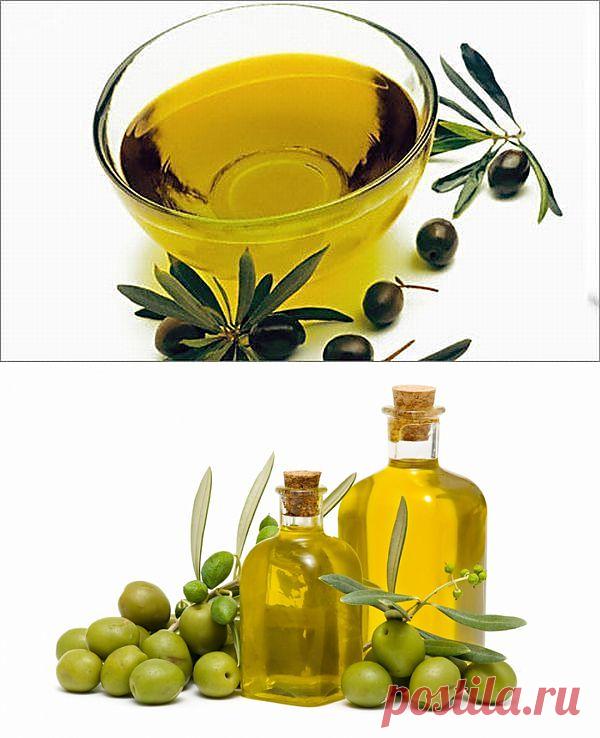 Оливковое масло – жидкое золото для женской красоты.