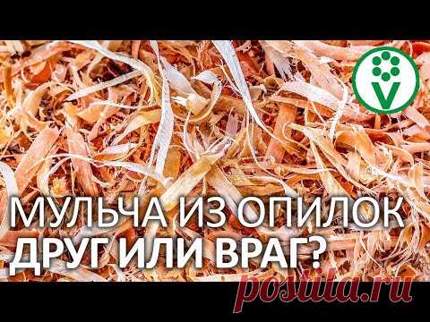 СМЕЛО ИСПОЛЬЗУЙТЕ ОПИЛКИ В САДУ И ОГОРОДЕ, если знаете эти нюансы!