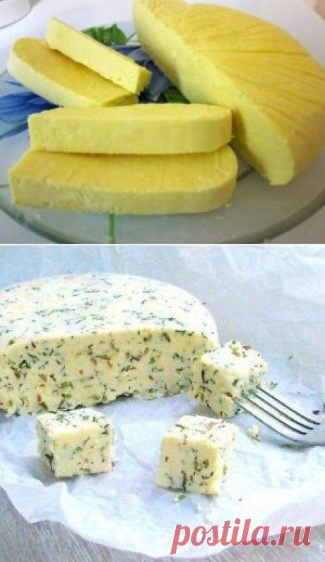 ДОМАШНИЕ СЫРЫ - ВАРИАНТЫ ПРИГОТОВЛЕНИЯ. | Готовим вместе
