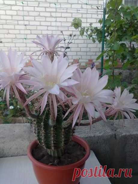 х х
6 лет, Украина, Лутугино
все её фото