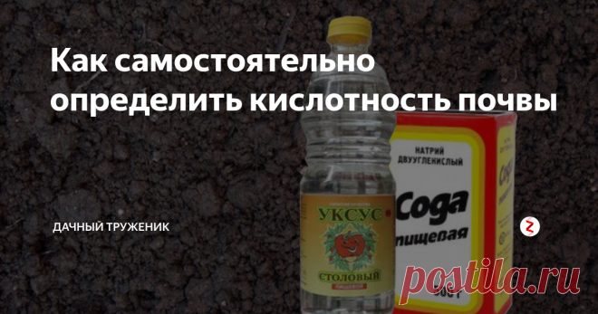 Как самостоятельно определить кислотность почвы Несмотря на то, что сегодня продается множество приборов позволяющих определить кислотность почвы, народные методы не теряют свою актуальность. И это совсем не удивительно.

