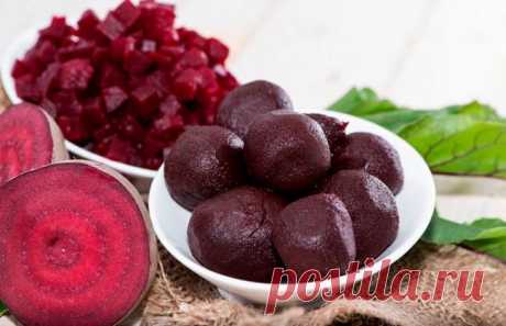 Хранение свеклы на зиму: когда выкапывать и собирать, сорта, в подвале, погребе, сроки и способы хранения урожая, фото, видео