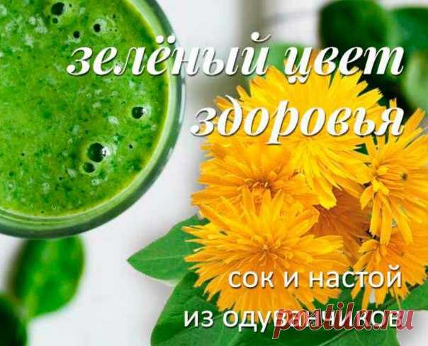 Лечение соком одуванчика.

Ранней весной очень полезен сок из листьев одуванчика. Листья одуванчика хорошо промыть, выдержать в концентрированном растворе соли 20-30 минут, снова промыть в холодной воде, ошпарить обязательно кипятком, пропустить через мясорубку, отжать через плотную ткань, разбавить водой 1:1 и прокипятить 2-3 минуты. Принимать по четверти стакана за 20 минут до еды 2 раза в день.

Чем полезен сок из одуванчика? Укрепляет организм, снимает воспаление в жел...
