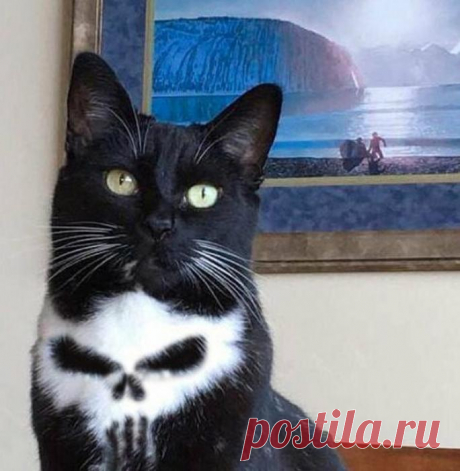 Я необычный..., и очень симпатичный