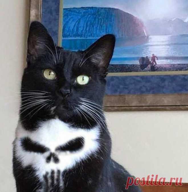 Я необычный..., и очень симпатичный