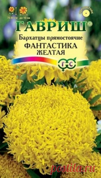 Семена. Бархатцы прямостоячие 